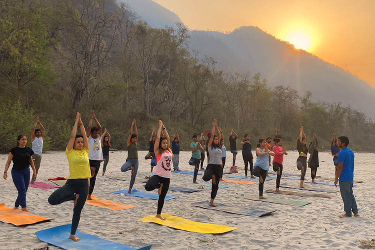Top 12 300 Hrs Yoga Teacher Training Courses in Rishikesh